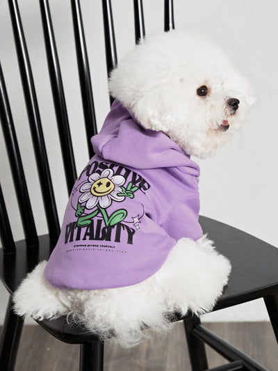 Cozy Pet Print Sweater: Keep Your Furry Friend Fashionable and Warm