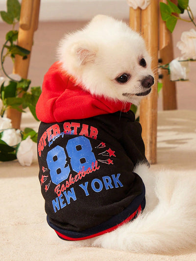 Cute and Cozy: Pink Baseball Jacket with Color Block and Animal Print Sweatshirt