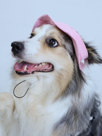 Canvas Fisherman Hat: Sun Protection for Cats and Dogs with Ear Holes