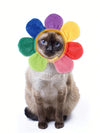 Cartoon Sunflower Pet Hat: Colorful and Cute Headwear for Your Furry Friend