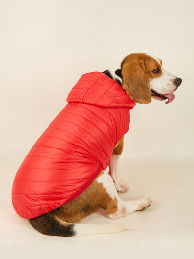 Stay Warm in Style: Red Windproof Padded Vest with Hood and Coat