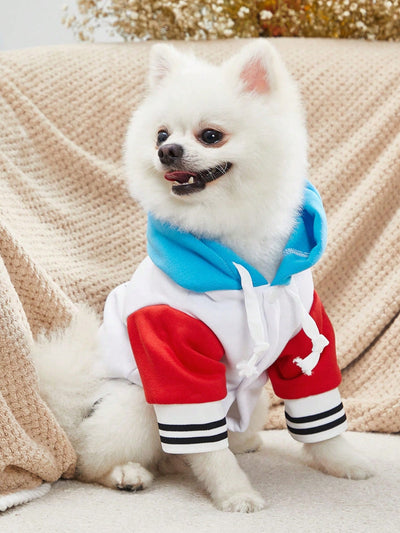 Cute and Cozy: Pink Baseball Jacket with Color Block and Animal Print Sweatshirt