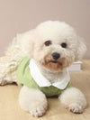 Style Sweater Dress: Cute and Comfortable Pet Clothes for Cats and Small Dogs - Perfect for All Seasons