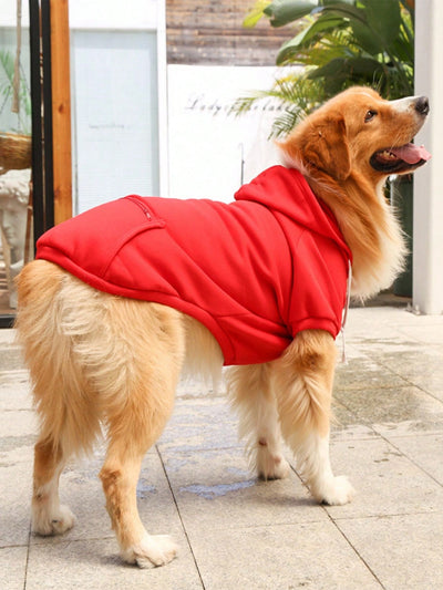 Cozy Red Pet Hoodie: The Perfect Everyday Solution for Cats and Dogs