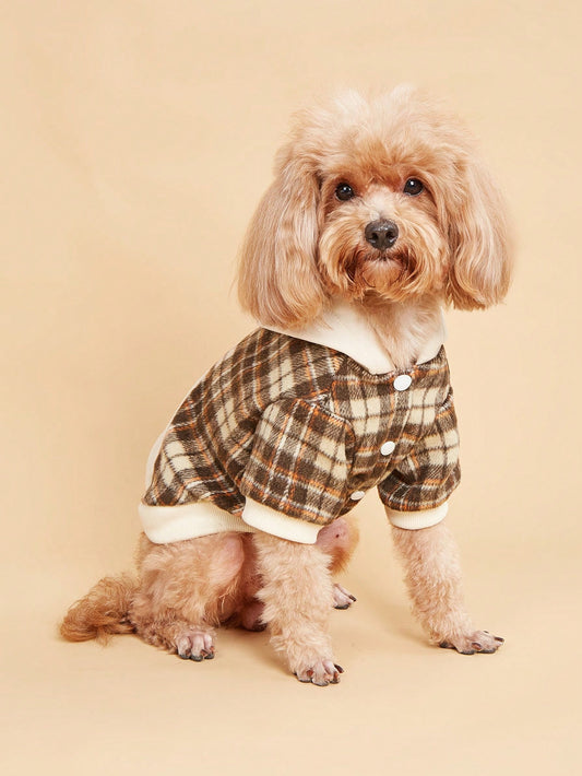 Cozy Chic: Pet Color Block Plaid Sweater