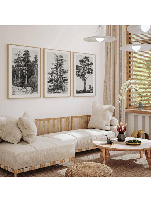 Enhance your home decor with our Vintage Forest Sketch Set. This set of 3 antique tree drawings adds a touch of nature to any room. Professionally drawn and printed on high-quality paper, these botanical art prints bring the beauty of the outdoors inside. Frame not included.