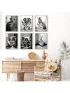 6 Piece Canvas Poster Set: Modern Animal Art for Bedroom and Living Room Decor