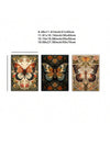 Vintage Butterfly Museum Collection: 3-Piece Wall Art Print Set