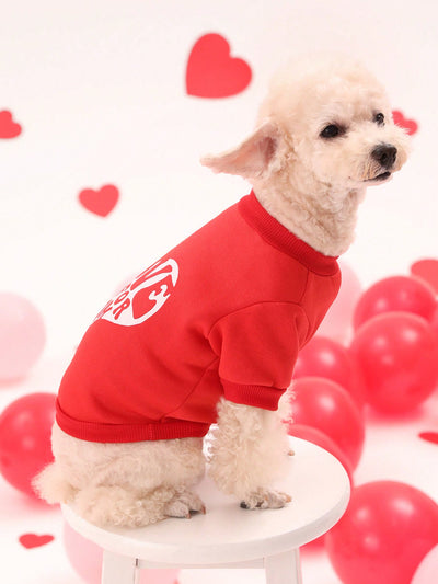 Valentine's Day Pet Love Letter Hoodie for Cats and Dogs