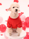 Valentine's Day Pet Love Letter Hoodie for Cats and Dogs