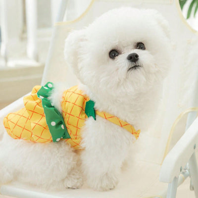 Pineapple Pup Paradise: Fun Dog Swimwear for Summer