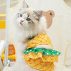 Pineapple Pup Paradise: Fun Dog Swimwear for Summer