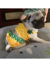 Pineapple Pup Paradise: Fun Dog Swimwear for Summer