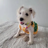 Pineapple Pup Paradise: Fun Dog Swimwear for Summer