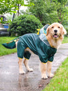 Cartoon Dinosaur Printed Full-Covered Waterproof Pet Raincoat for Small and Large Dogs - Ideal for Outdoor Activities