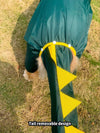 Cartoon Dinosaur Printed Full-Covered Waterproof Pet Raincoat for Small and Large Dogs - Ideal for Outdoor Activities