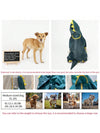 Cartoon Dinosaur Printed Full-Covered Waterproof Pet Raincoat for Small and Large Dogs - Ideal for Outdoor Activities