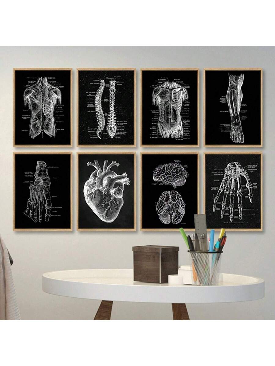 Add a quirky twist to your space with these Vintage Human Anatomy Canvas Prints! Featuring detailed muscle and skeleton illustrations, they’re perfect for medical buffs or anyone looking to spice up their walls with a clever educational vibe. Ideal as unique gifts or eye-catching decor, these prints bring science and style together in a fun way.