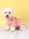 Cozy Bear Printed Sweater for Small Pets - Perfect for Both Indoor and Outdoor Wear