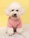 Cozy Bear Printed Sweater for Small Pets - Perfect for Both Indoor and Outdoor Wear