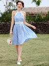 Vintage Vacation Vibes Gingham Halter Dress - Spring/Summer Collection