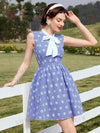 Country Charm Vintage Sleeveless Dress with Daisy Floral Pattern