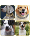 Stylish and Durable Pet Accessory: Collar Dog Chain with Secure Buckle and Artificial Diamonds