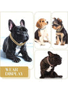 Stylish and Durable Pet Accessory: Collar Dog Chain with Secure Buckle and Artificial Diamonds