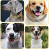 Stylish and Durable Pet Accessory: Collar Dog Chain with Secure Buckle and Artificial Diamonds