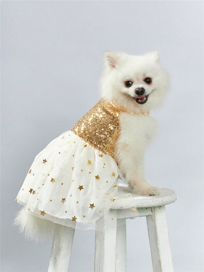 Shimmering Star Pet Dress: Perfect for Cats and Dogs!