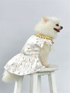 Stylish Gold Foil Printed Satin Pet Dress with Lace Trim for Fashionable Cats and Dogs