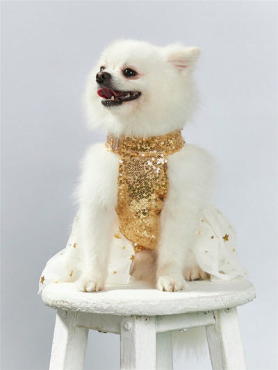 Shimmering Star Pet Dress: Perfect for Cats and Dogs!