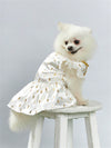 Dazzling Gold Foil Printed Satin Pet Dress: Glamorous Clothing for Stylish Cats and Dogs