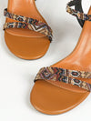 Vintage Chic: Comfortable Chunky Heel Ankle Strap Sandals in Brown