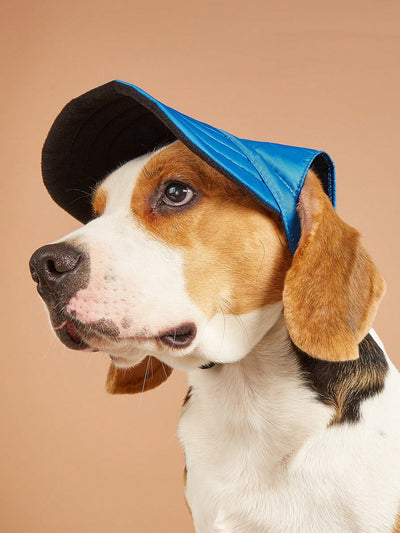 Stylish Dog Baseball Cap with Various Color and Patterns Available