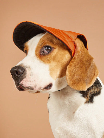 Stylish Dog Baseball Cap with Various Color and Patterns Available