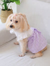 Country Chic Pet Dress with Flutter Sleeves and Bowknot Detail