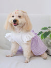 Country Chic Pet Dress with Flutter Sleeves and Bowknot Detail