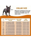 Stylish and Durable Pet Accessory: Collar Dog Chain with Secure Buckle and Artificial Diamonds