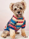 Cozy Winter Stripe Dog Sweater: Keep Your Pup Stylish and Warm!