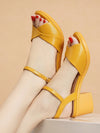 Stylish Summer Steps: Chunky Heel Sandals with Ankle Strap