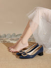 Stone Pattern Light Blue Autumn Shallow Mouth Pumps with Chunky Heel - Women's Fashion