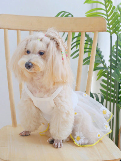 Sunflower Summer Dress: Sequin Detailing for Pets to Shine in the Park