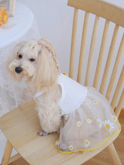 Sunflower Summer Dress: Sequin Detailing for Pets to Shine in the Park