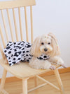 Moo-velous Milk Print Dress for Stylish Pets this Spring & Summer