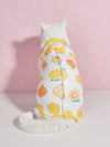 Cozy Cat Sterilization Suit: Keep Your Feline Friend Warm and Safe