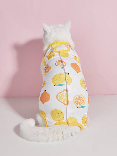 Cozy Cat Sterilization Suit: Keep Your Feline Friend Warm and Safe