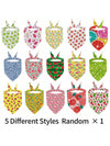 Colorful Fruit Pattern Dog Bandana Set for Your Furry Friend