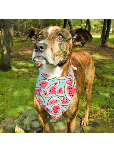 Colorful Fruit Pattern Dog Bandana Set for Your Furry Friend