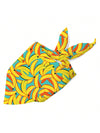 Colorful Fruit Pattern Dog Bandana Set for Your Furry Friend